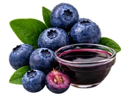 Heidelbeere (Vaccinium myrtillus) als Baustein der Ophtalmica-Formel