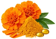 Lutein und Zeaxanthin als Baustein der Ophtalmica-Formel