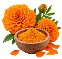 Lutein und Zeaxanthin als Baustein der Ophtalmica-Formel