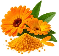 Lutein und Zeaxanthin als Baustein der Ophtalmica-Formel