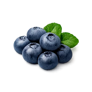Ophtalmica — Mustikkauute (Vaccinium myrtillus)
