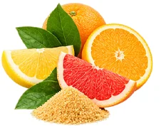 Zitrus-Bioflavonoide als Baustein der Ophtalmica-Formel